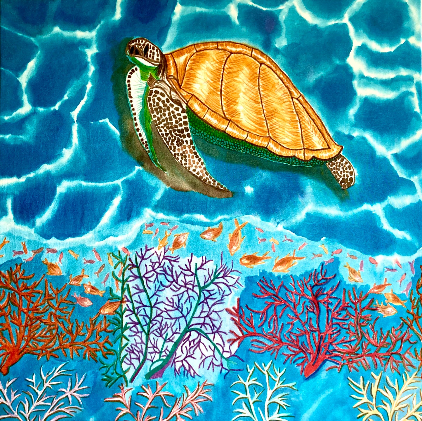 SEA TURTLE PRINT