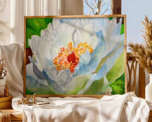 WHITE PEONY