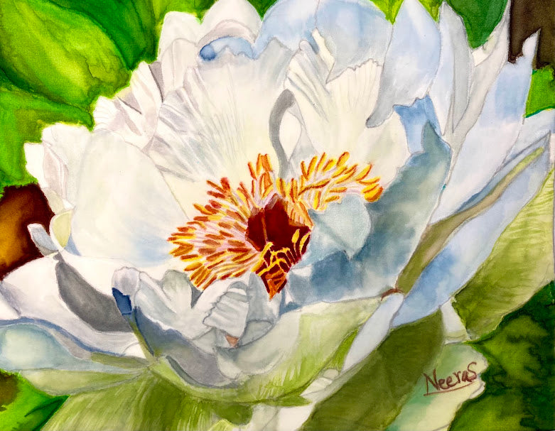 WHITE PEONY PRINT