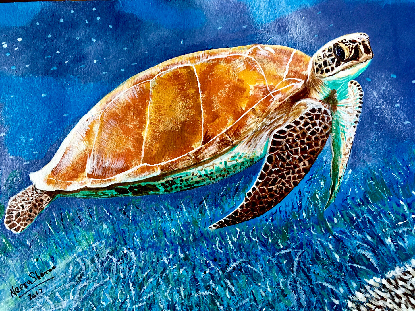 GOLDEN TURTLE PRINT