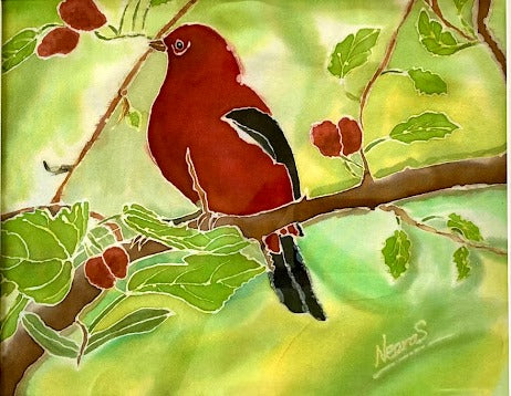 SPRING BIRD PRINT